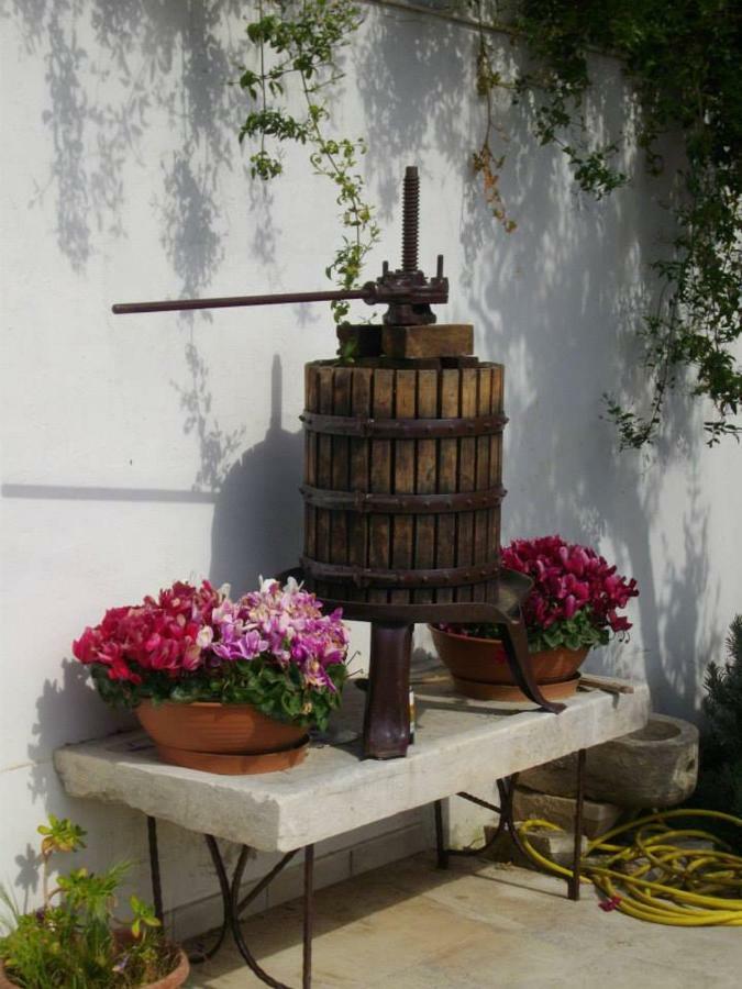 B&B Le Coppe Bisceglie Buitenkant foto